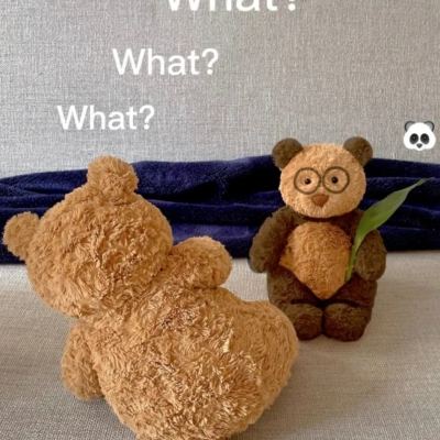 im电竞官网app下载