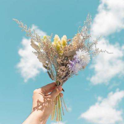 双赢彩票下载手机版